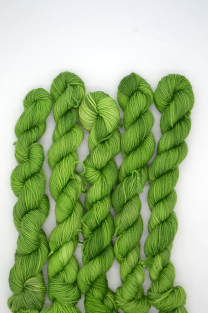 20g Sock Picnic Spot Mini Skein