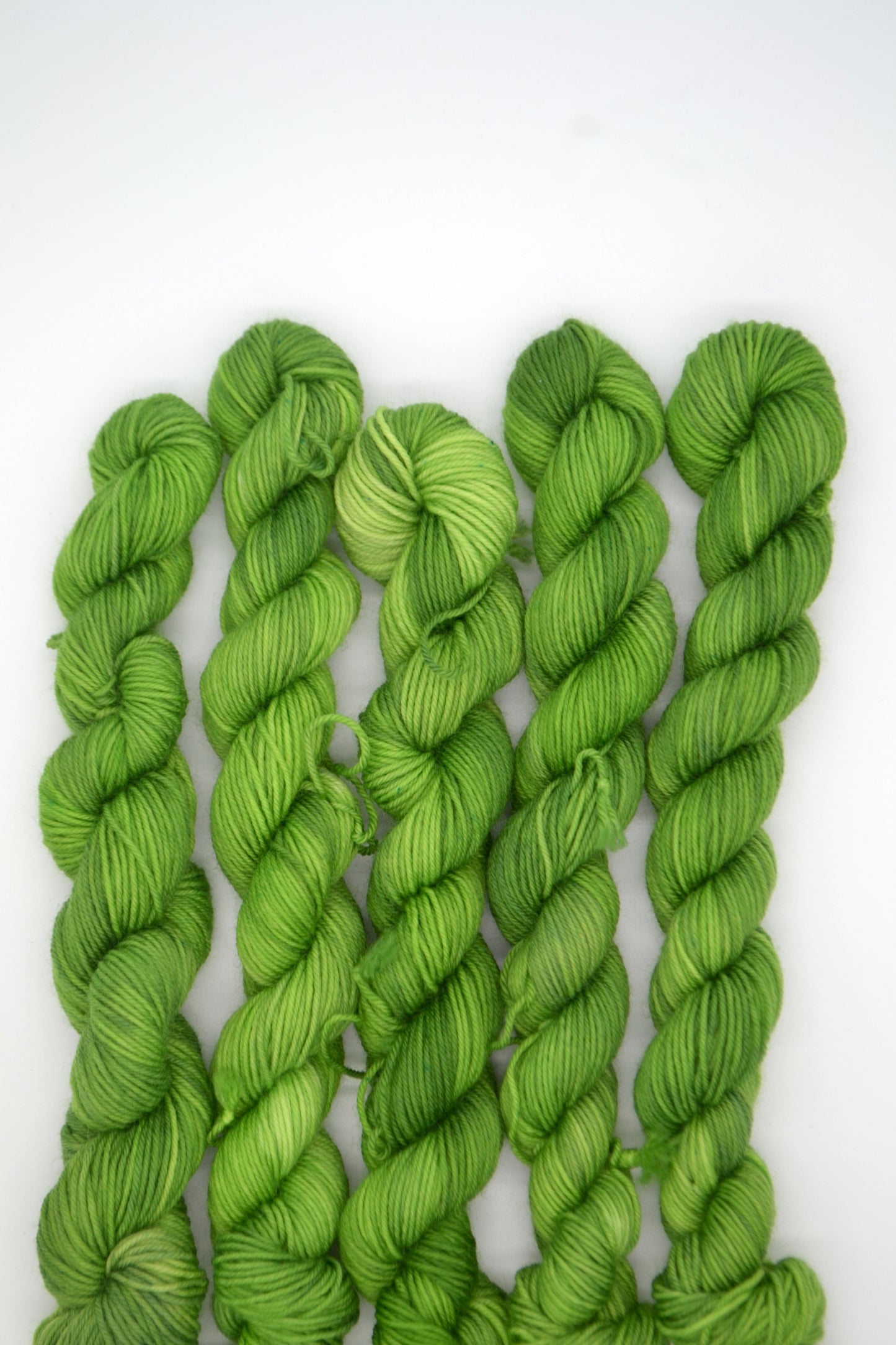20g Sock Picnic Spot Mini Skein