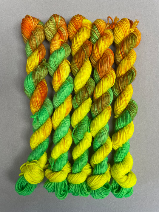 20g Sock Sour Sherbet Mini Skein