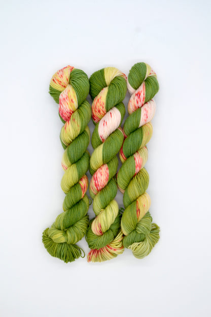 50g Sock Frosted Berries Hand-dyed Yarn