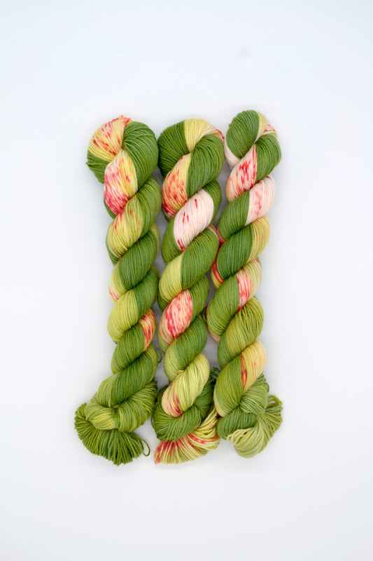50g Sock Frosted Berries Hand-dyed Yarn