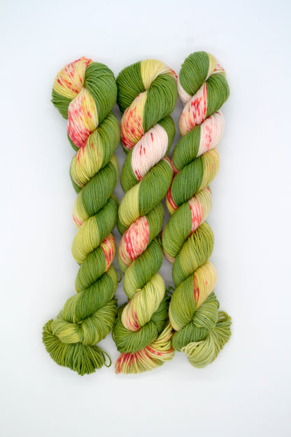 50g Sock Frosted Berries Hand-dyed Yarn