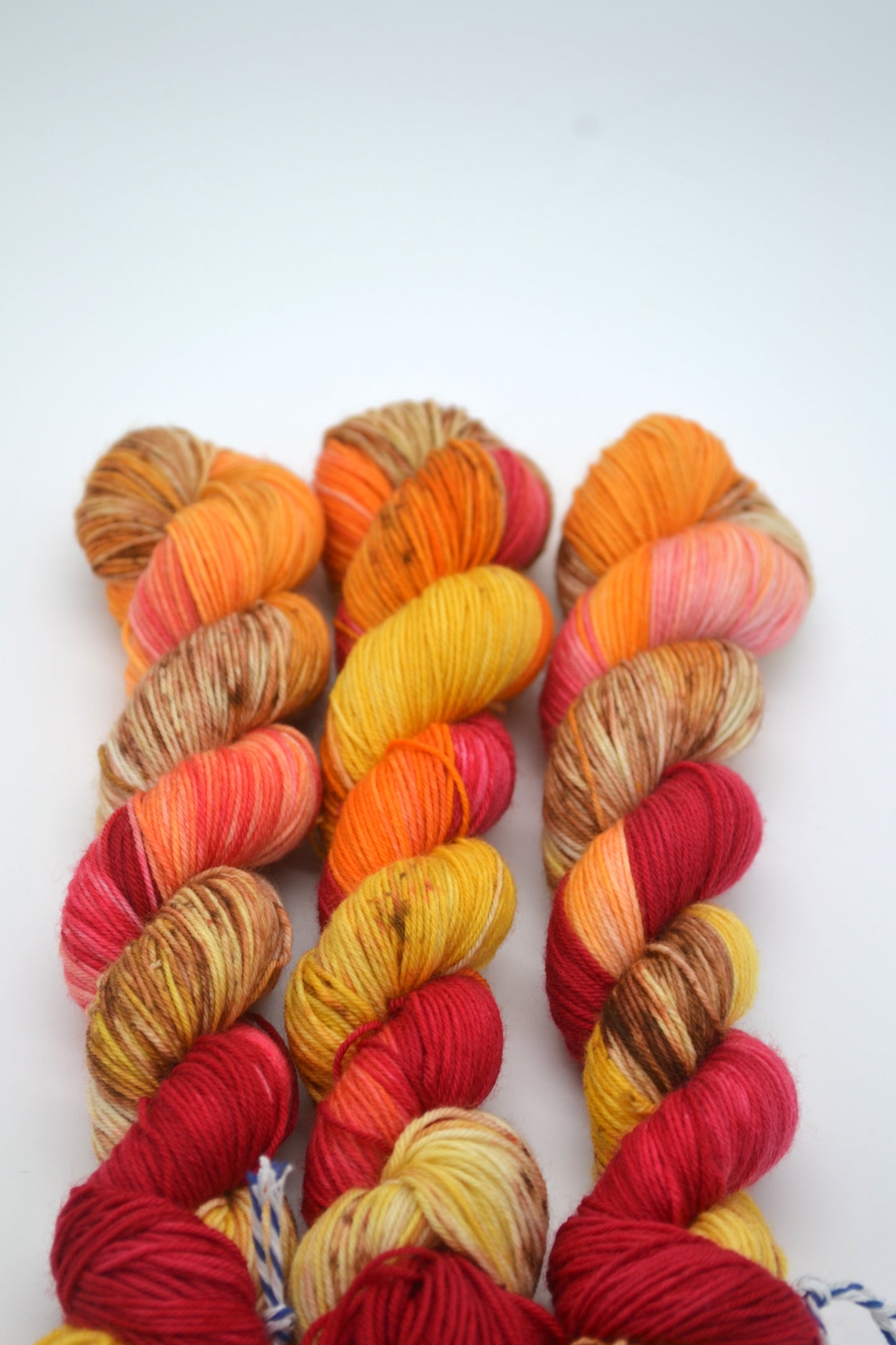 50g Sock Maple Tree Hand-dyed Yarn