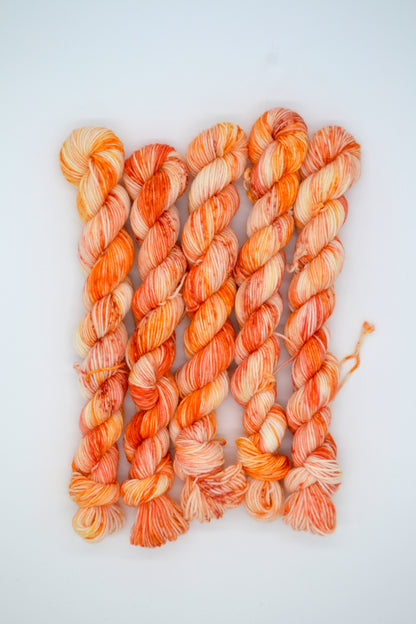 20g Sock Tiger Lily Mini Skein