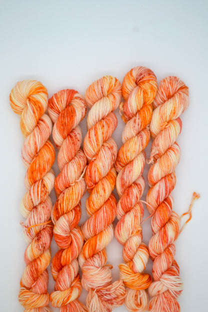 20g Sock Tiger Lily Mini Skein