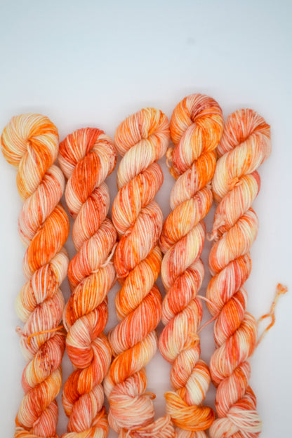 20g Sock Tiger Lily Mini Skein