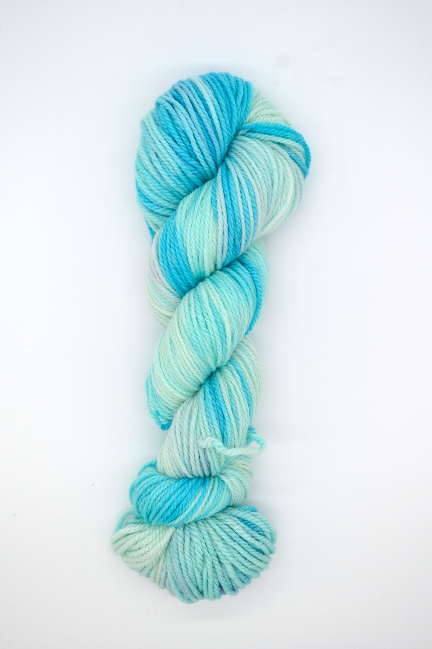 100g Aran Ice Rink Hand-dyed Yarn