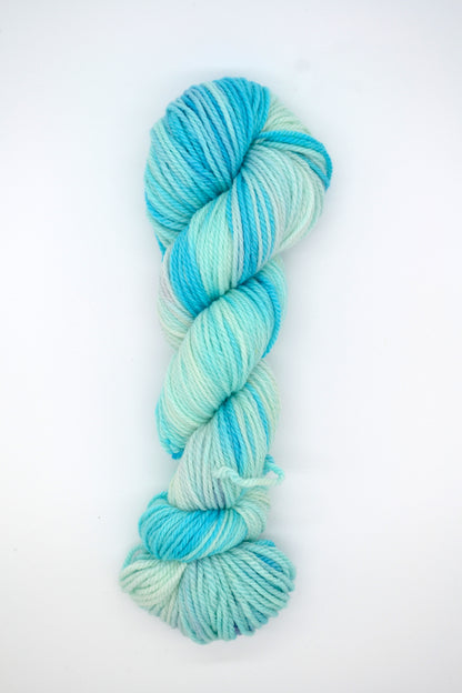 100g Aran Ice Rink Hand-dyed Yarn