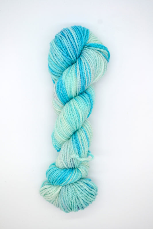 100g Aran Ice Rink Hand-dyed Yarn
