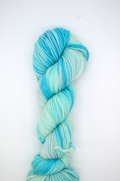 100g Aran Ice Rink Hand-dyed Yarn