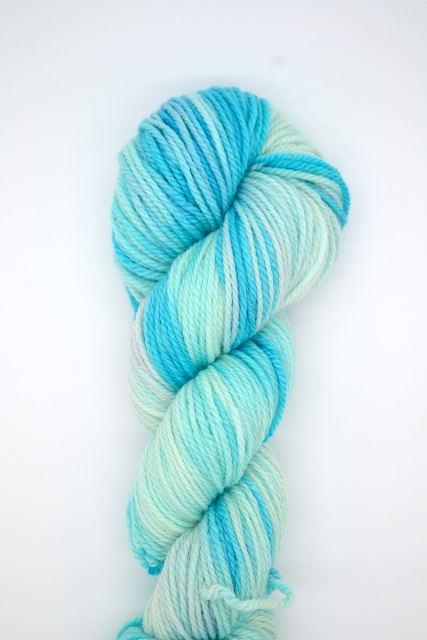 100g Aran Ice Rink Hand-dyed Yarn