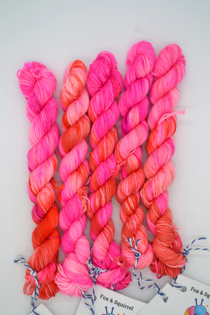 20g Sock Love Hearts Mini Skein