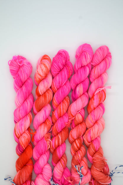 20g Sock Love Hearts Mini Skein