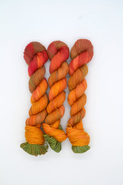 50g Sock Apple Picking Hand-dyed Yarn