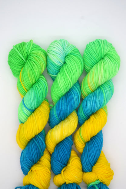 50g DK Parrot Hand-dyed Yarn