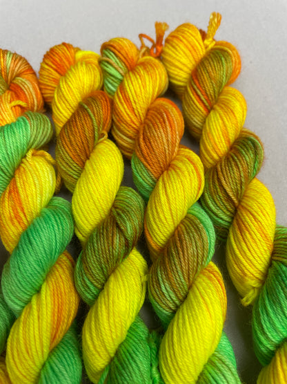20g Sock Sour Sherbet Mini Skein