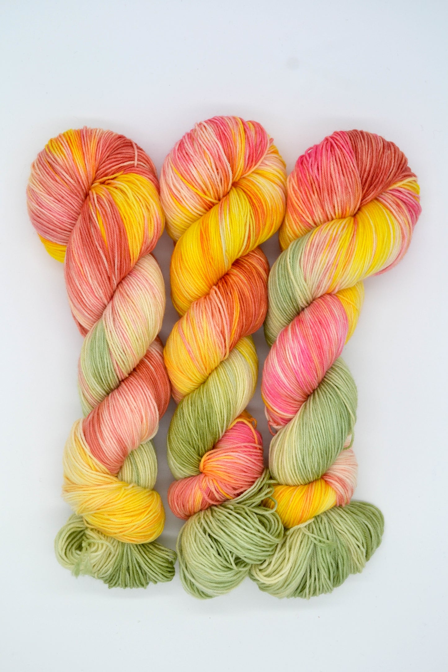 100g Sock Wall Garden Hand-dyed Yarn