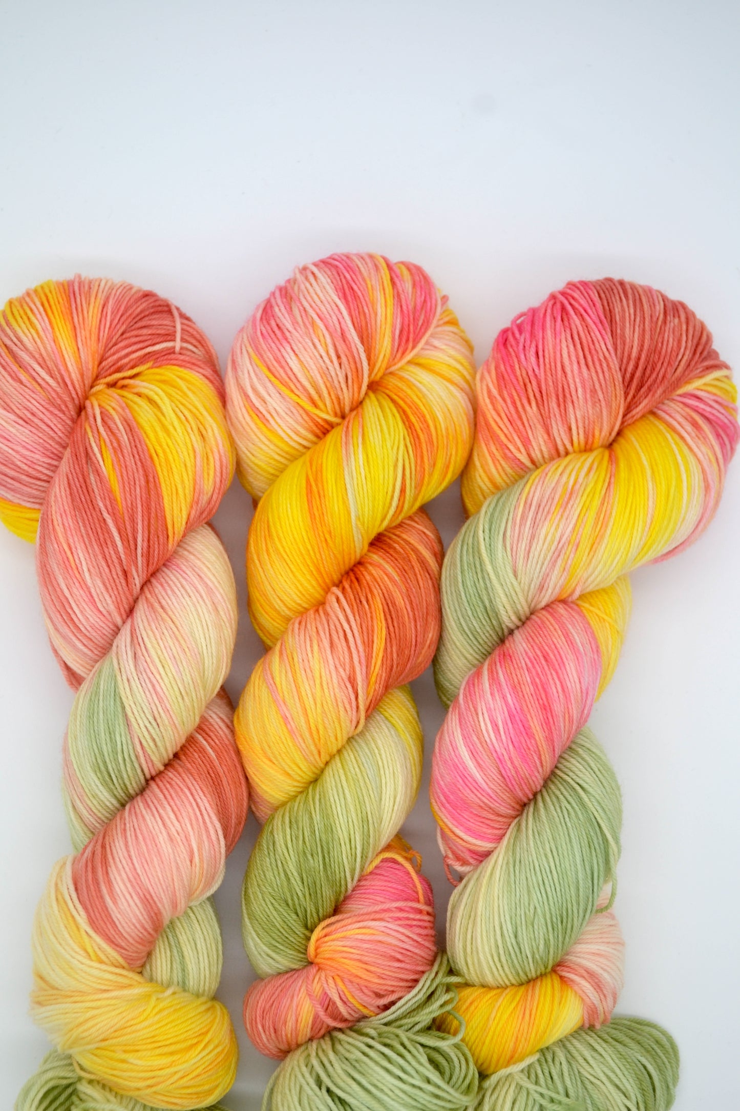 100g Sock Wall Garden Hand-dyed Yarn