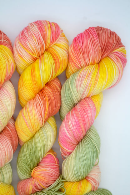 100g Sock Wall Garden Hand-dyed Yarn
