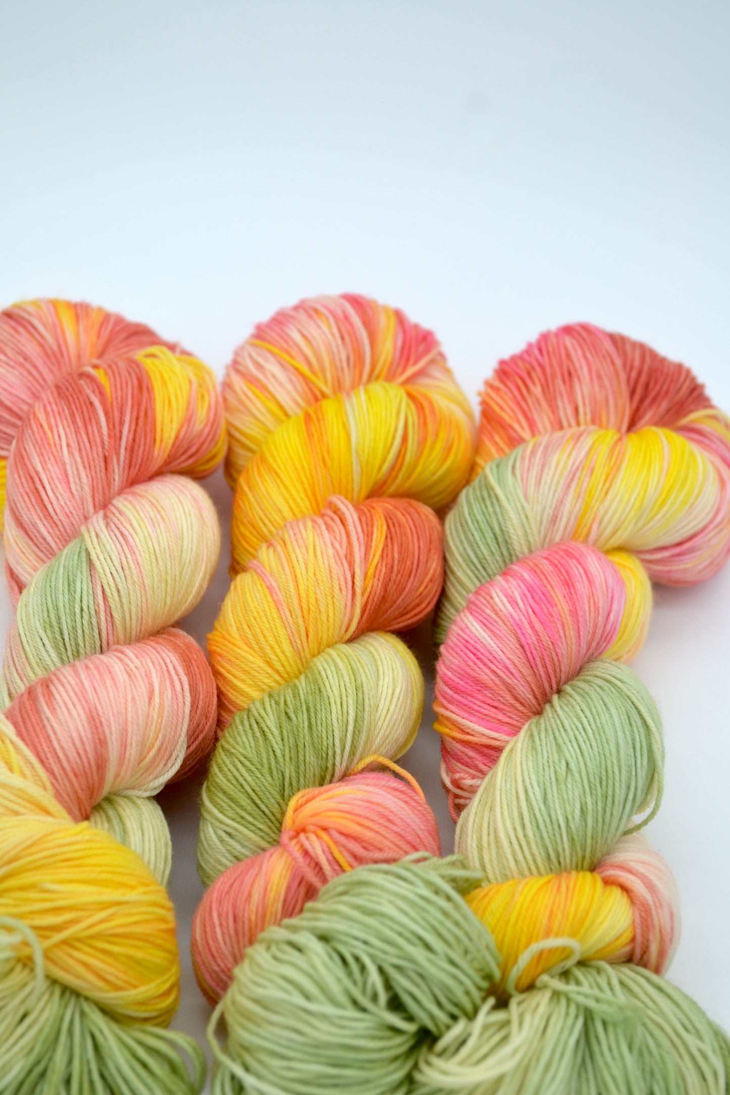 100g Sock Wall Garden Hand-dyed Yarn