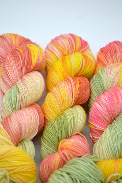 100g Sock Wall Garden Hand-dyed Yarn