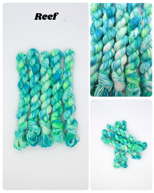20g DK Reef Mini Skein