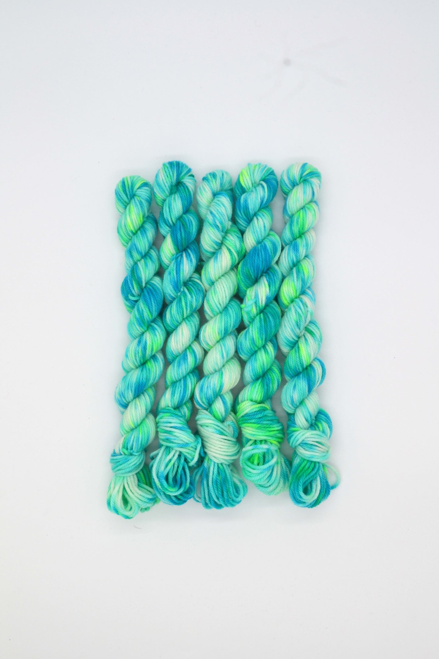 20g DK Reef Mini Skein