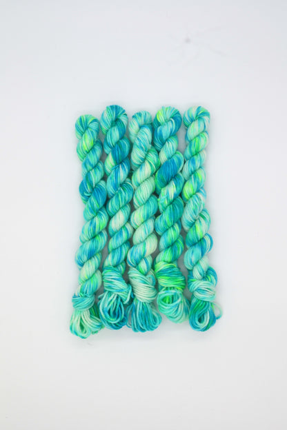 20g DK Reef Mini Skein