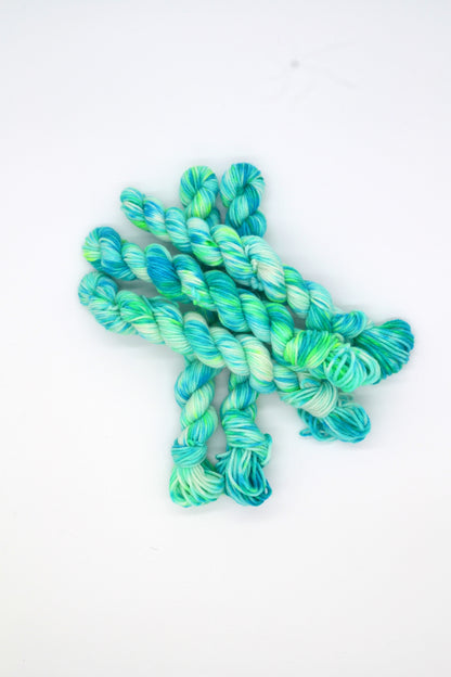 20g DK Reef Mini Skein