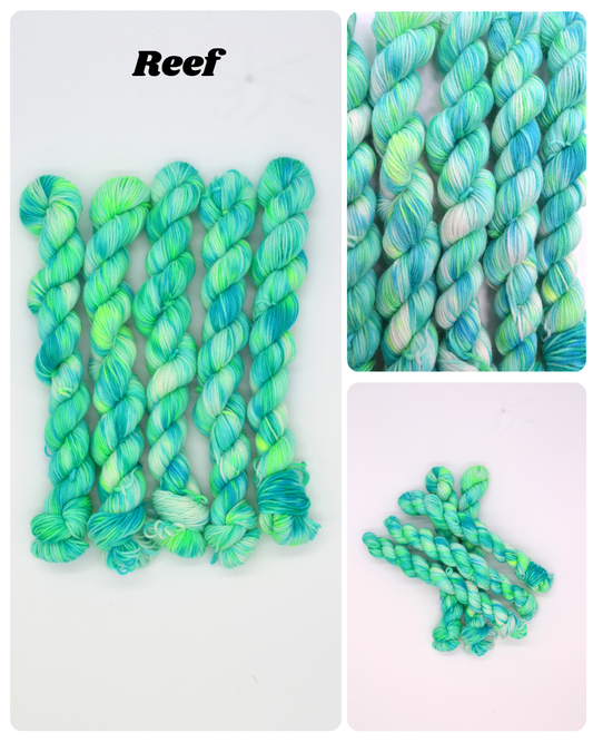 20g Sock Reef Mini Skein