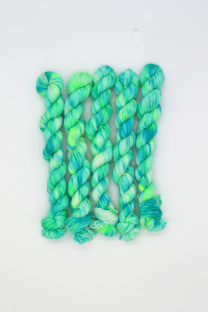 20g Sock Reef Mini Skein