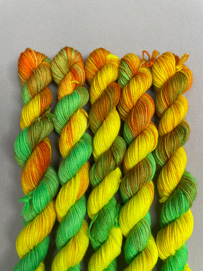 20g Sock Sour Sherbet Mini Skein
