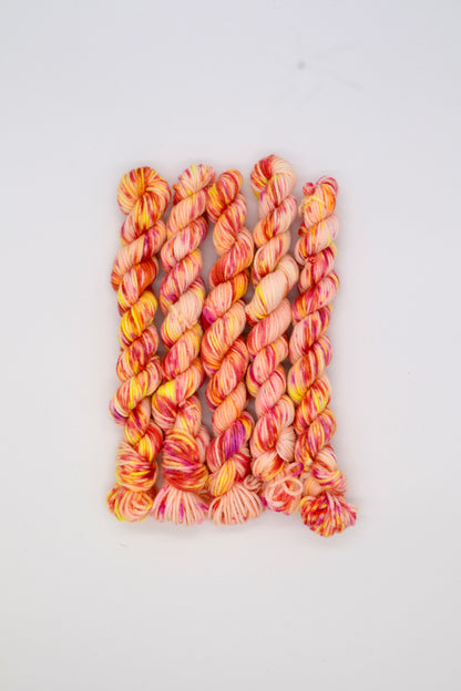 20g DK Fruit Salad Mini Skein