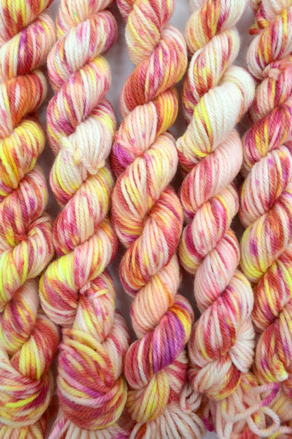 20g DK Fruit Salad Mini Skein