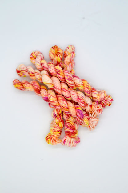 20g DK Fruit Salad Mini Skein