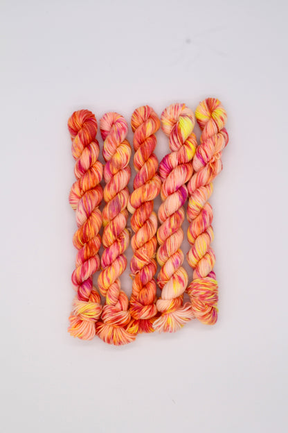 20g Sock Fruit Salad Mini Skein