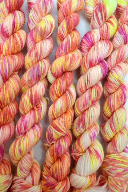 20g Sock Fruit Salad Mini Skein