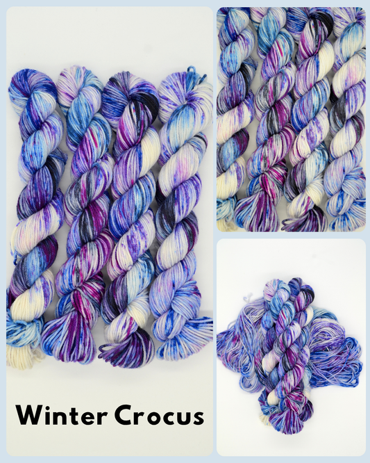 50g DK Winter Crocus Hand-dyed Yarn