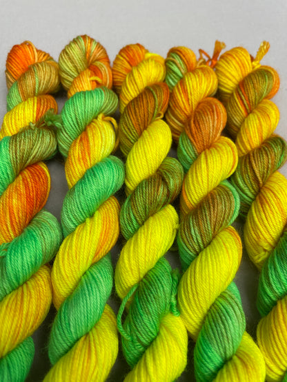 20g Sock Sour Sherbet Mini Skein