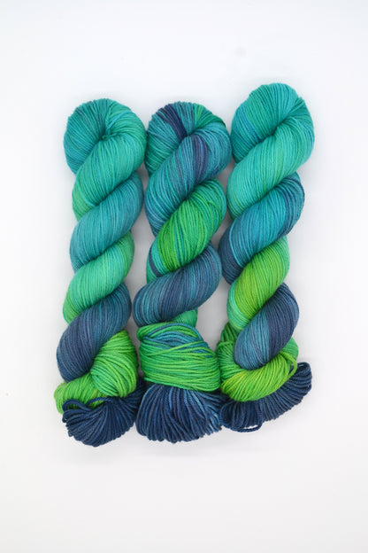 100g DK Coastal Adventure Hand-dyed Yarn