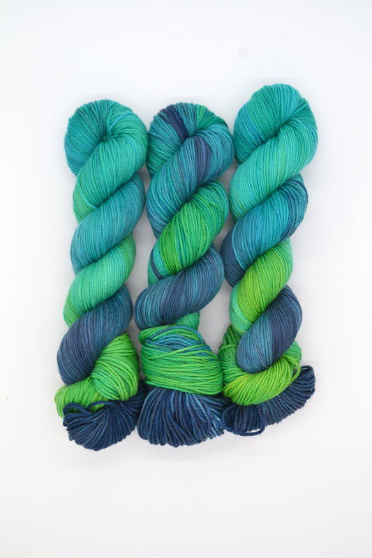 100g DK Coastal Adventure Hand-dyed Yarn