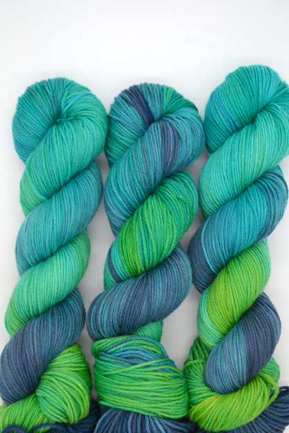100g DK Coastal Adventure Hand-dyed Yarn