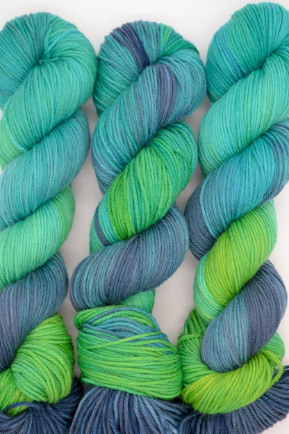 100g DK Coastal Adventure Hand-dyed Yarn
