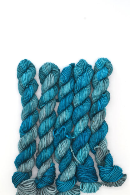 20g DK Chilly Nights Mini Skein