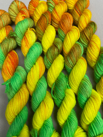 20g Sock Sour Sherbet Mini Skein