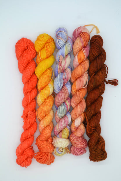 20g OOAK Sock Mini Skein Sets