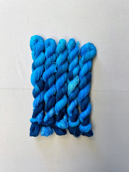 20g DK Waves Mini Skein